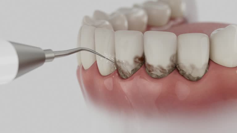 Reliable Dental contractor in Brownsville, KY by Dentist Open Now